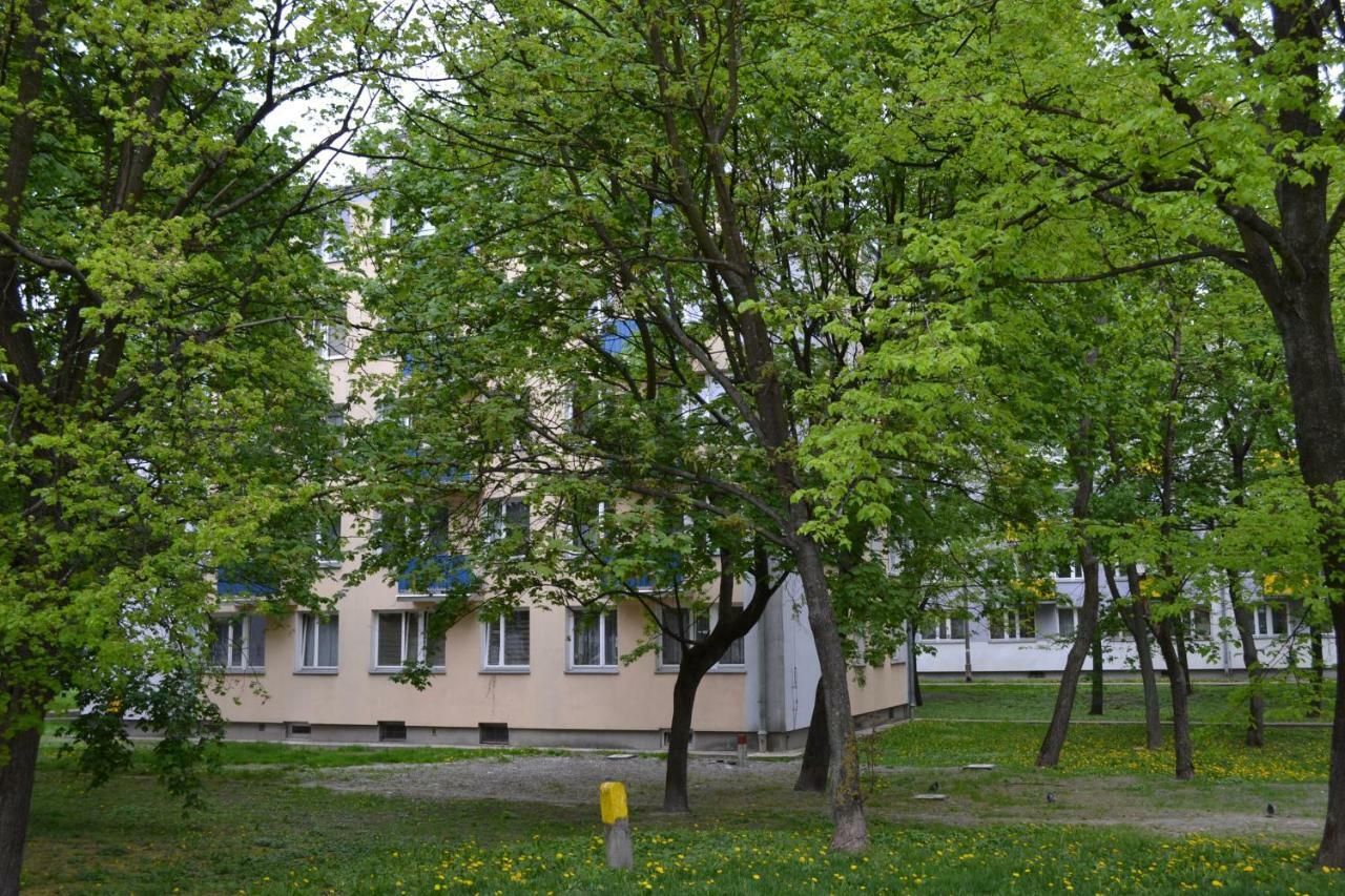 Apartament Chełm Екстериор снимка